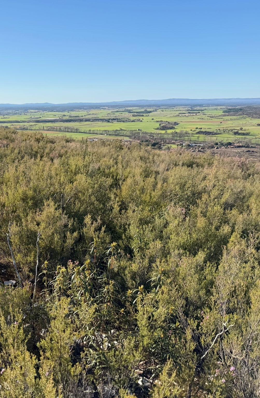 Sierra de la Culebra project landscape in Zamora, photographed April 2026